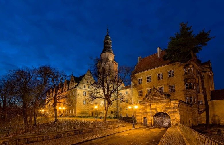 Zamek Książąt Oleśnickich, Oleśnica, Poland, Poland